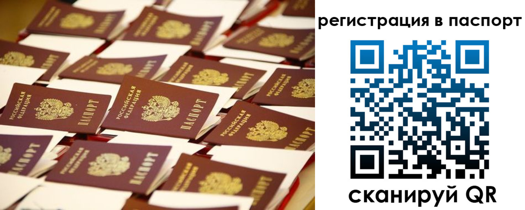 прописка гарантия в Белой Холунице